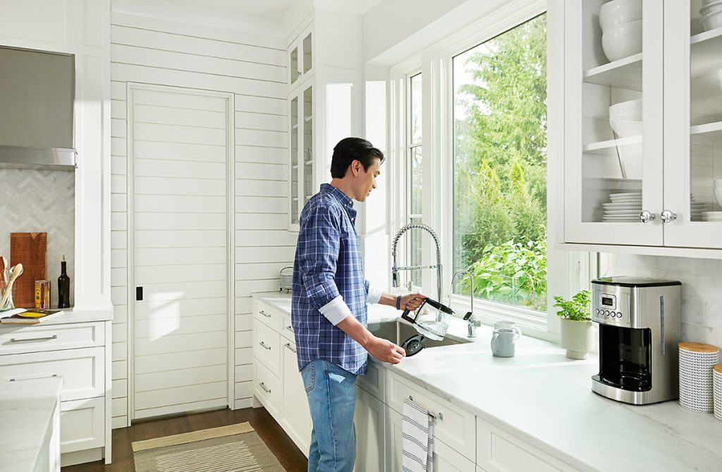 whole house water filters